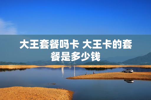 大王套餐吗卡 大王卡的套餐是多少钱