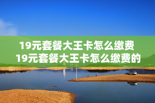 19元套餐大王卡怎么缴费 19元套餐大王卡怎么缴费的