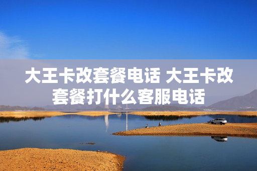 大王卡改套餐电话 大王卡改套餐打什么客服电话