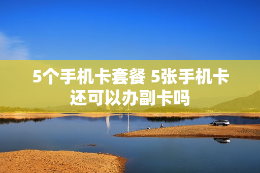 5个手机卡套餐 5张手机卡还可以办副卡吗