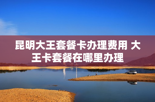 昆明大王套餐卡办理费用 大王卡套餐在哪里办理