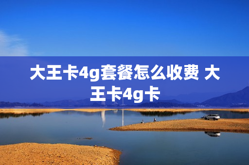 大王卡4g套餐怎么收费 大王卡4g卡