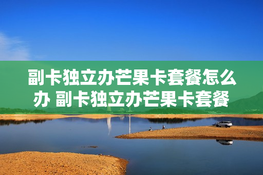 副卡独立办芒果卡套餐怎么办 副卡独立办芒果卡套餐怎么办的