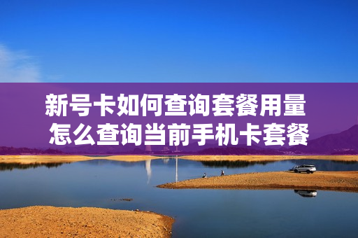 新号卡如何查询套餐用量 怎么查询当前手机卡套餐