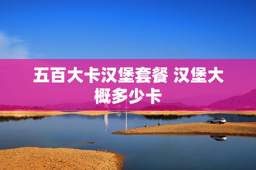 五百大卡汉堡套餐 汉堡大概多少卡