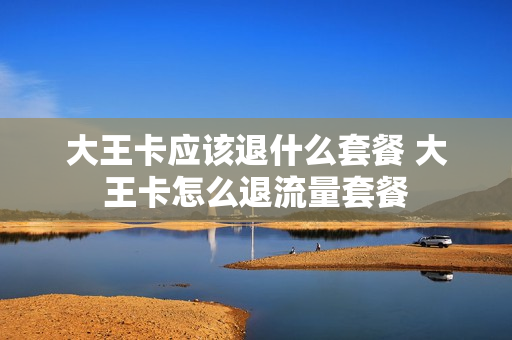 大王卡应该退什么套餐 大王卡怎么退流量套餐
