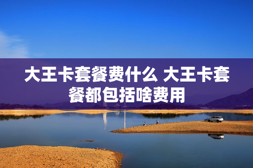 大王卡套餐费什么 大王卡套餐都包括啥费用
