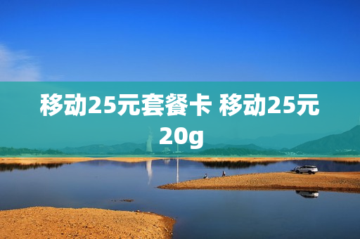 移动25元套餐卡 移动25元20g