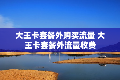 大王卡套餐外购买流量 大王卡套餐外流量收费