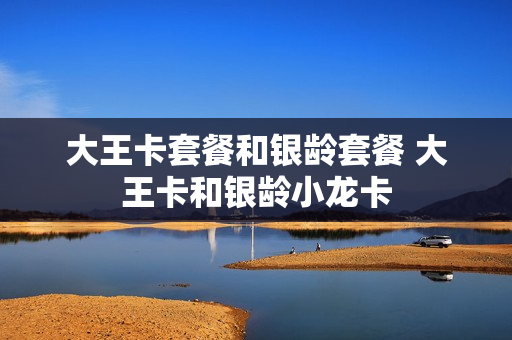 大王卡套餐和银龄套餐 大王卡和银龄小龙卡