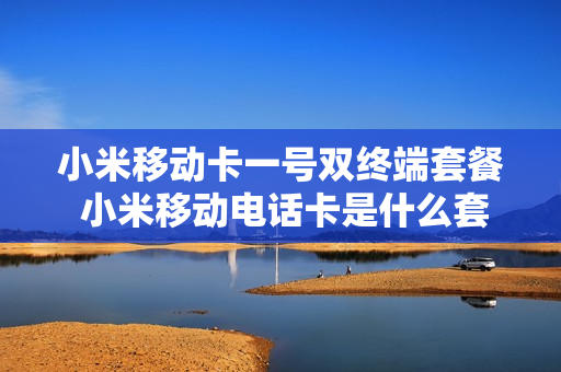 小米移动卡一号双终端套餐 小米移动电话卡是什么套餐