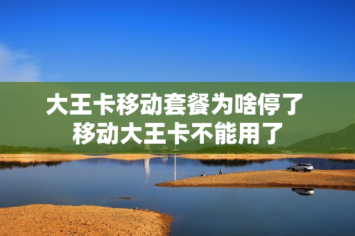 大王卡移动套餐为啥停了 移动大王卡不能用了