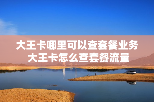 大王卡哪里可以查套餐业务 大王卡怎么查套餐流量