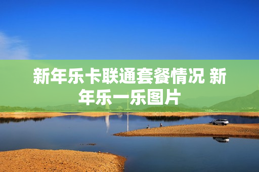 新年乐卡联通套餐情况 新年乐一乐图片