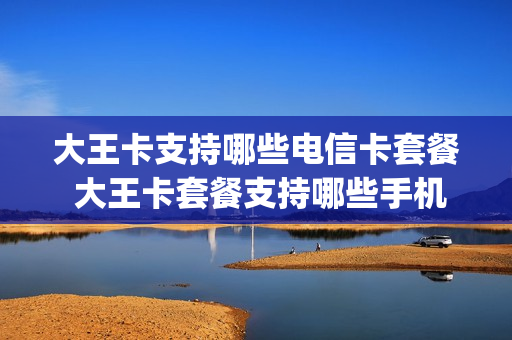 大王卡支持哪些电信卡套餐 大王卡套餐支持哪些手机app