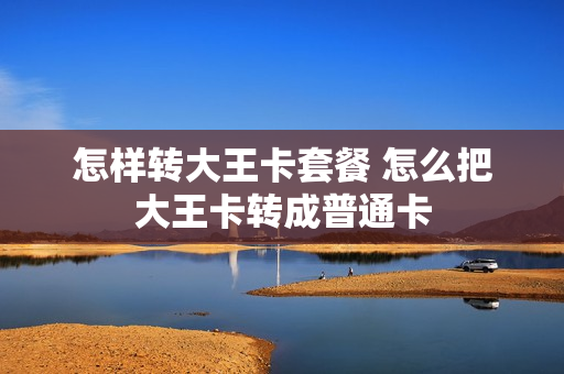 怎样转大王卡套餐 怎么把大王卡转成普通卡