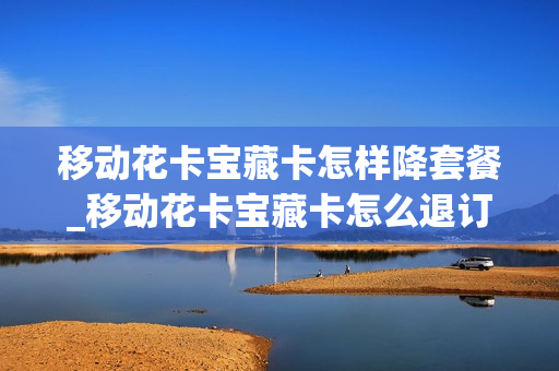 移动花卡宝藏卡怎样降套餐_移动花卡宝藏卡怎么退订