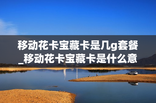 移动花卡宝藏卡是几g套餐_移动花卡宝藏卡是什么意思