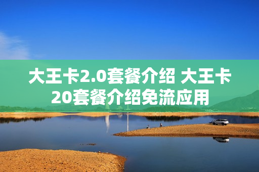 大王卡2.0套餐介绍 大王卡20套餐介绍免流应用