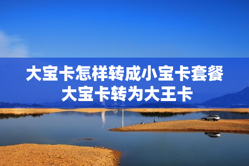 大宝卡怎样转成小宝卡套餐 大宝卡转为大王卡