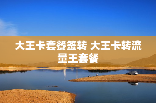 大王卡套餐签转 大王卡转流量王套餐