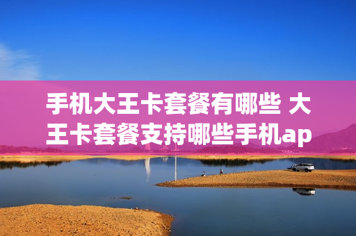 手机大王卡套餐有哪些 大王卡套餐支持哪些手机app