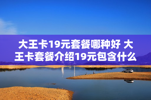 大王卡19元套餐哪种好 大王卡套餐介绍19元包含什么
