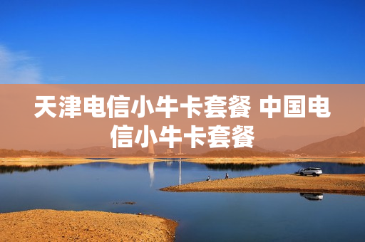 天津电信小牛卡套餐 中国电信小牛卡套餐