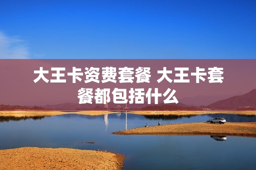 大王卡资费套餐 大王卡套餐都包括什么