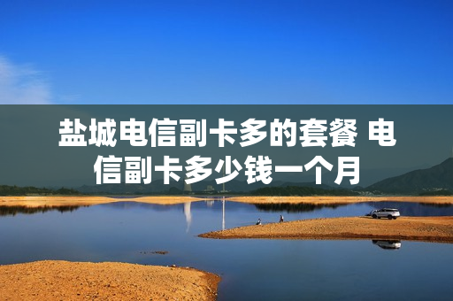 盐城电信副卡多的套餐 电信副卡多少钱一个月