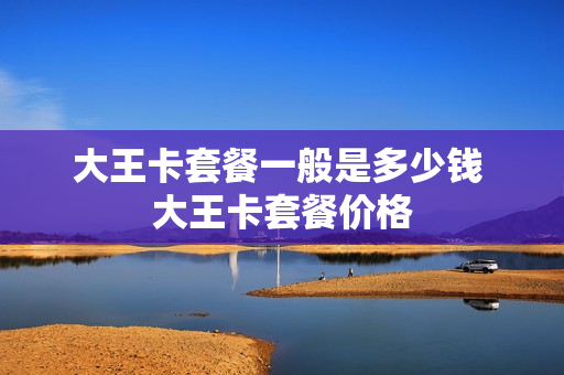 大王卡套餐一般是多少钱 大王卡套餐价格