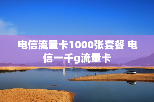 电信流量卡1000张套餐 电信一千g流量卡