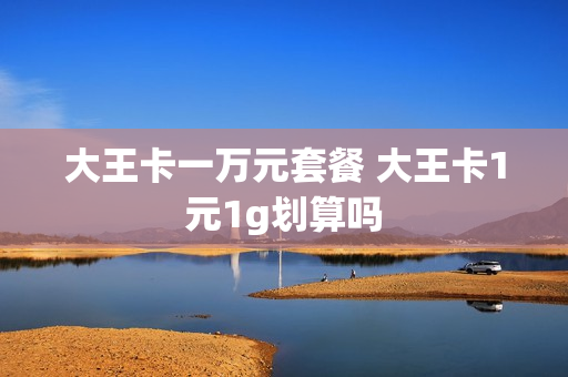 大王卡一万元套餐 大王卡1元1g划算吗