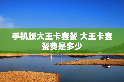 手机版大王卡套餐 大王卡套餐费是多少