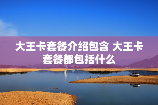 大王卡套餐介绍包含 大王卡套餐都包括什么