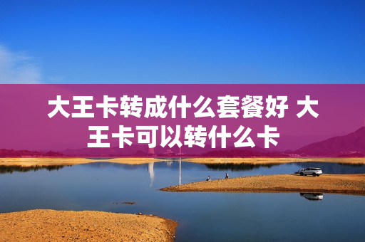 大王卡转成什么套餐好 大王卡可以转什么卡