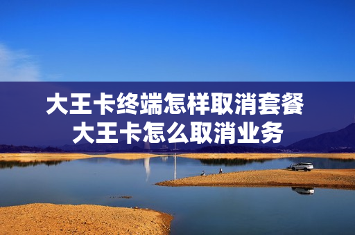 大王卡终端怎样取消套餐 大王卡怎么取消业务
