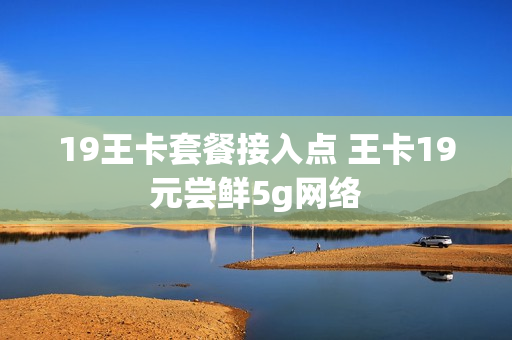 19王卡套餐接入点 王卡19元尝鲜5g网络