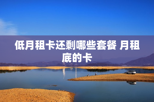 低月租卡还剩哪些套餐 月租底的卡