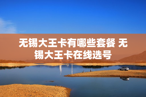 无锡大王卡有哪些套餐 无锡大王卡在线选号