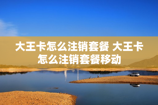 大王卡怎么注销套餐 大王卡怎么注销套餐移动