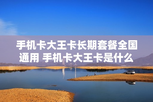 手机卡大王卡长期套餐全国通用 手机卡大王卡是什么意思
