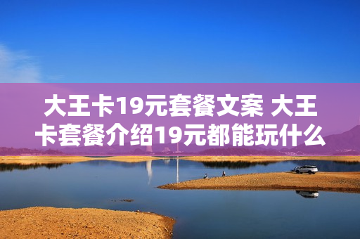 大王卡19元套餐文案 大王卡套餐介绍19元都能玩什么