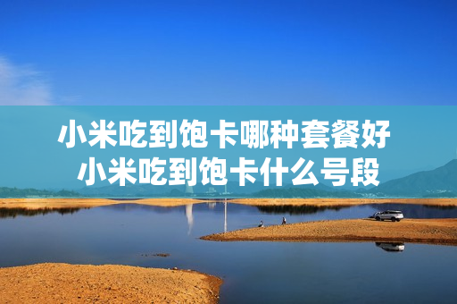 小米吃到饱卡哪种套餐好 小米吃到饱卡什么号段