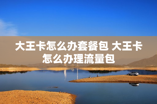 大王卡怎么办套餐包 大王卡怎么办理流量包