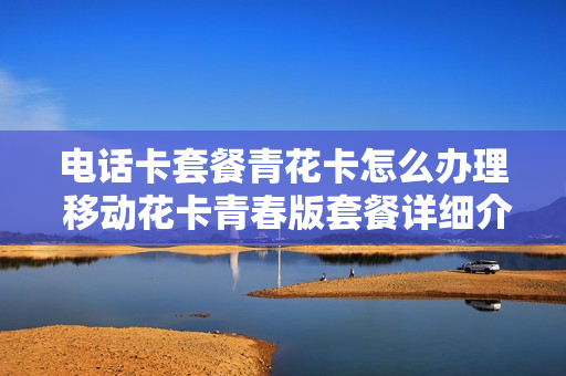 电话卡套餐青花卡怎么办理 移动花卡青春版套餐详细介绍