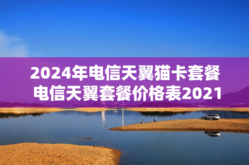 2024年电信天翼猫卡套餐 电信天翼套餐价格表2021