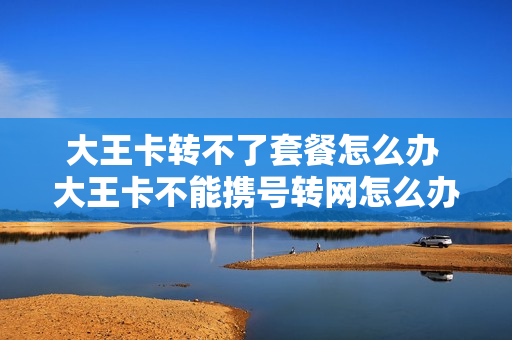 大王卡转不了套餐怎么办 大王卡不能携号转网怎么办