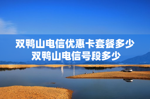 双鸭山电信优惠卡套餐多少 双鸭山电信号段多少