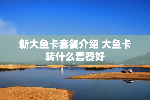 新大鱼卡套餐介绍 大鱼卡转什么套餐好